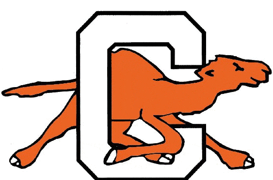 Campbell Fighting Camels 1993-2004 Alternate Logo iron on transfers for fabric